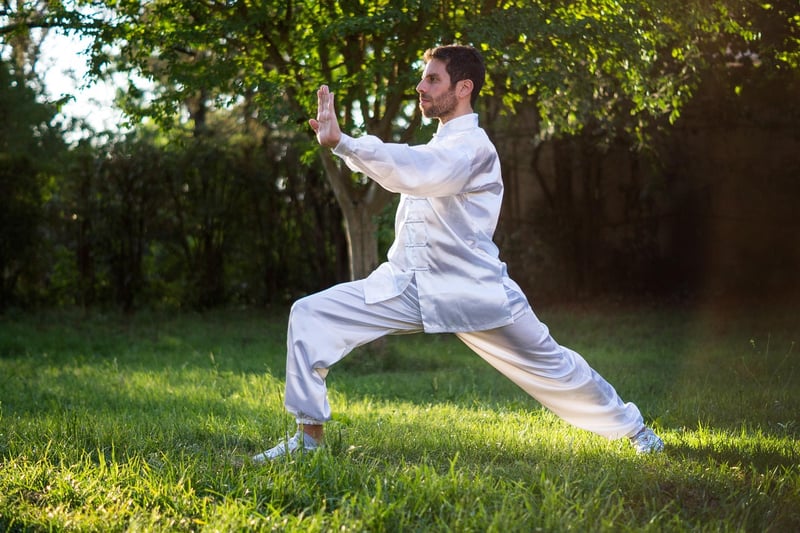 Tai Chi Silhouettes